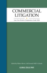 Commercial Litigation Law Guide
