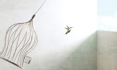 little birds escapes out of birdcage