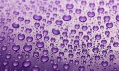 Prince's death could lead to 'messy litigation' says lawyer