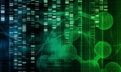 Robots look set to join the law department of the future