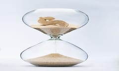 Firms spending millions writing biz plans that just gather dust