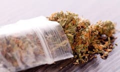 Marijuana another big Election Day winner as four states legalise