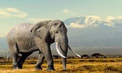 Bowmans advise in one of largest sub-Saharan Africa financing deals