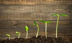 Law firms enjoy third successive year of growth