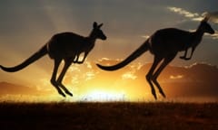 KWM Oz chief steps down