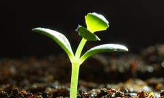 Dentons partners with funding firm for legal tech push