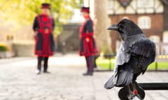 Alston & Bird flies into London