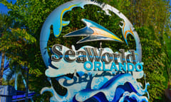 Former SeaWorld lawyer insider trading charge