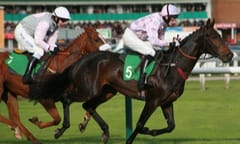 Ireland jockeys for EU position post-Brexit