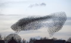 Firm's new brand takes flight