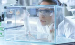 Report says Canadian government uses immigrants as AI 'lab rats'