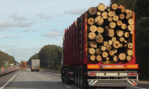 Toxic timber trade not so 'eco-friendly'