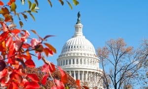 Kirkland & Ellis absorbs DC boutique Bancroft