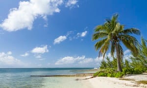 Cayman lawyers bill review to continue in private
