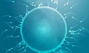 Woman sues sperm bank over donor mix-up