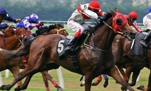 Fieldfisher senior partner accused of bias over BHA relationship