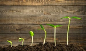 Law firms enjoy third successive year of growth