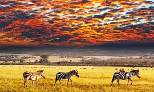 Doing business in Africa