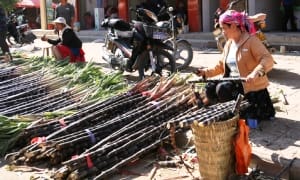 Commodities lawyers on the spot over sugar