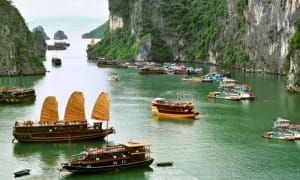 Vietnam: protectionist call