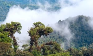 Chevron demands $32m legal fees from Ecuadorian villagers