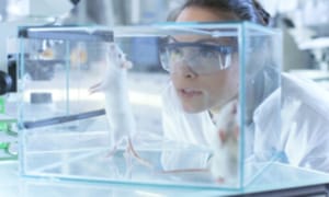 Report says Canadian government uses immigrants as AI 'lab rats'