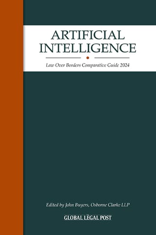 Artificial Intelligence Law Guide