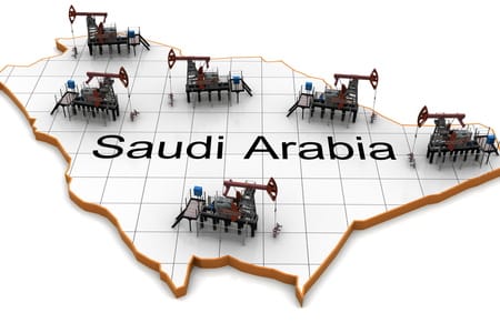 Human rights lawyer faces flogging in Saudi