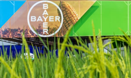 Bayer agro show, stand and bayer logo and rice crops out of focus. Bayer Crop Science