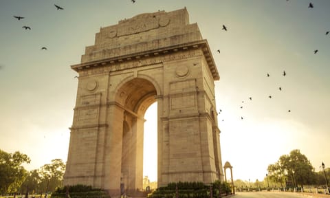 Birds flying over India Gate, New Delh
